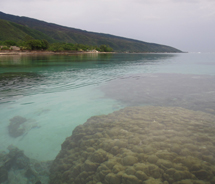 View from the paddleboard // (c) 2010 Skye Mayring